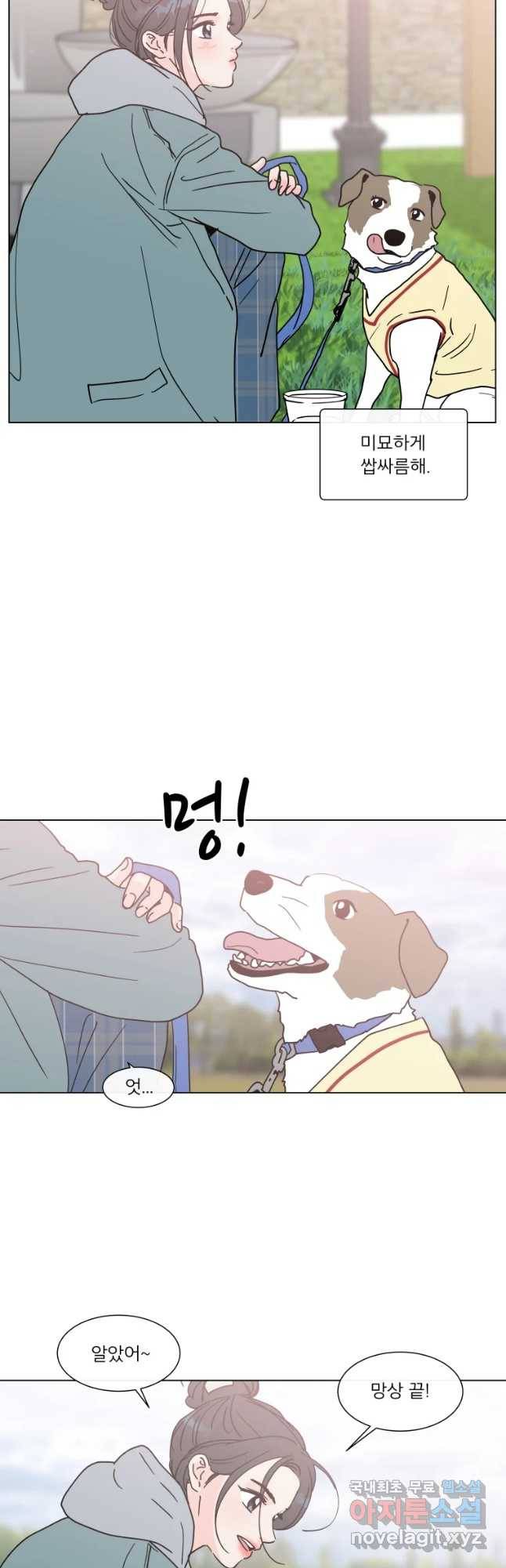 우리집이거든요! 153화 2