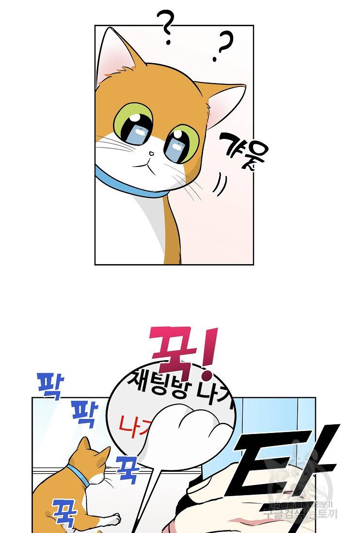귀여운 야수님 67화 2