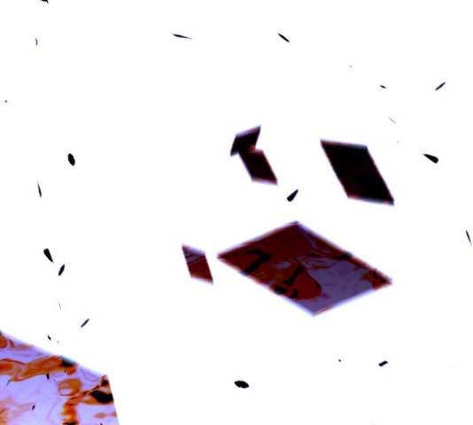 트럼프 126화 39