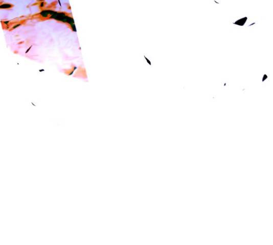 트럼프 126화 40
