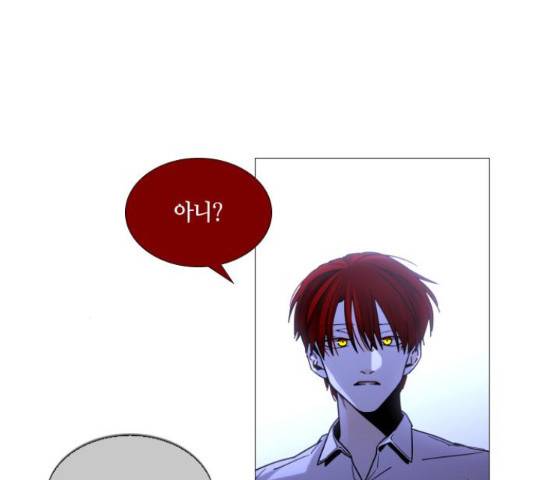 트럼프 126화 81