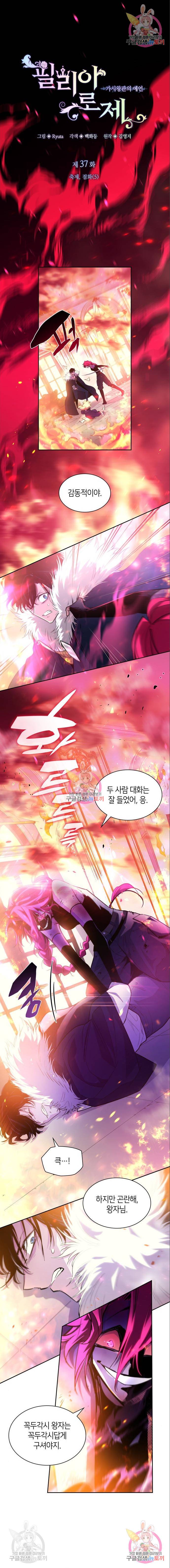 필리아로제 : 가시왕관의 예언 37화 1