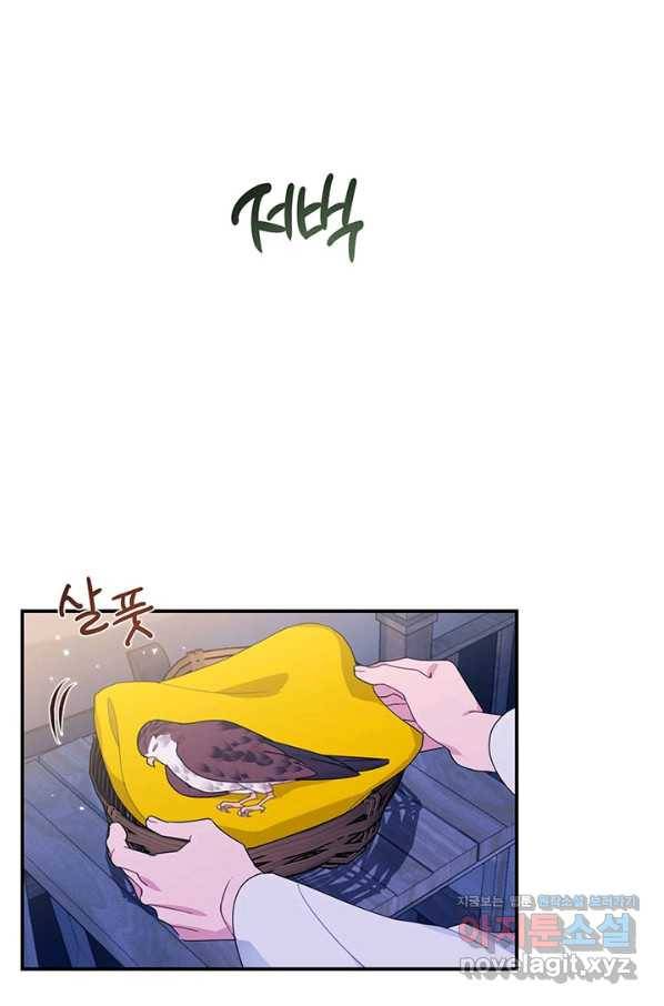 전령새 왕녀님 52화 7