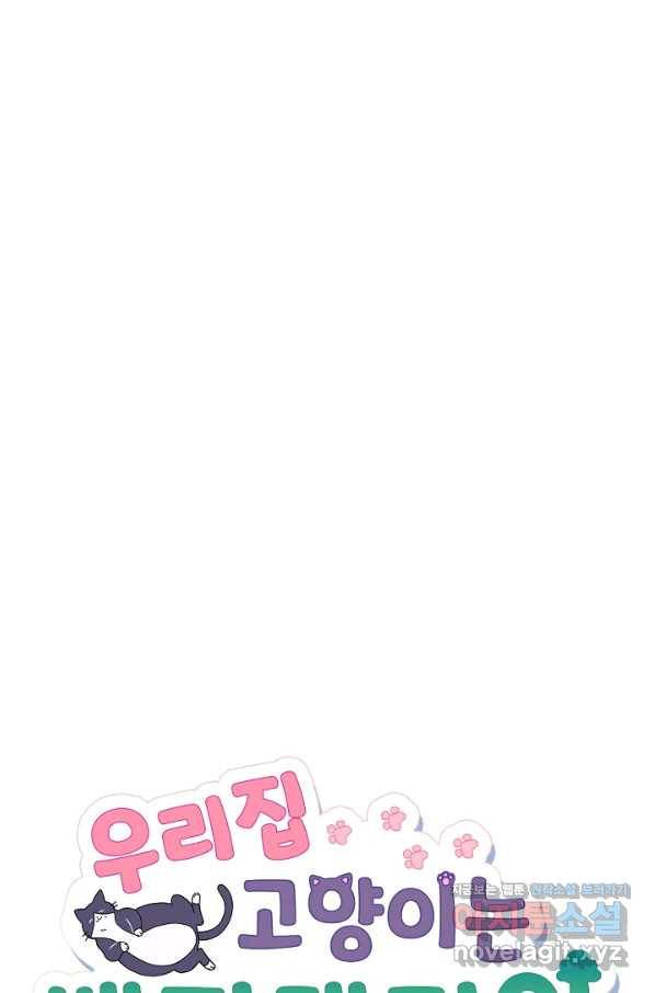 우리집 고양이는 베지테리언 38화 떠날 준비 7