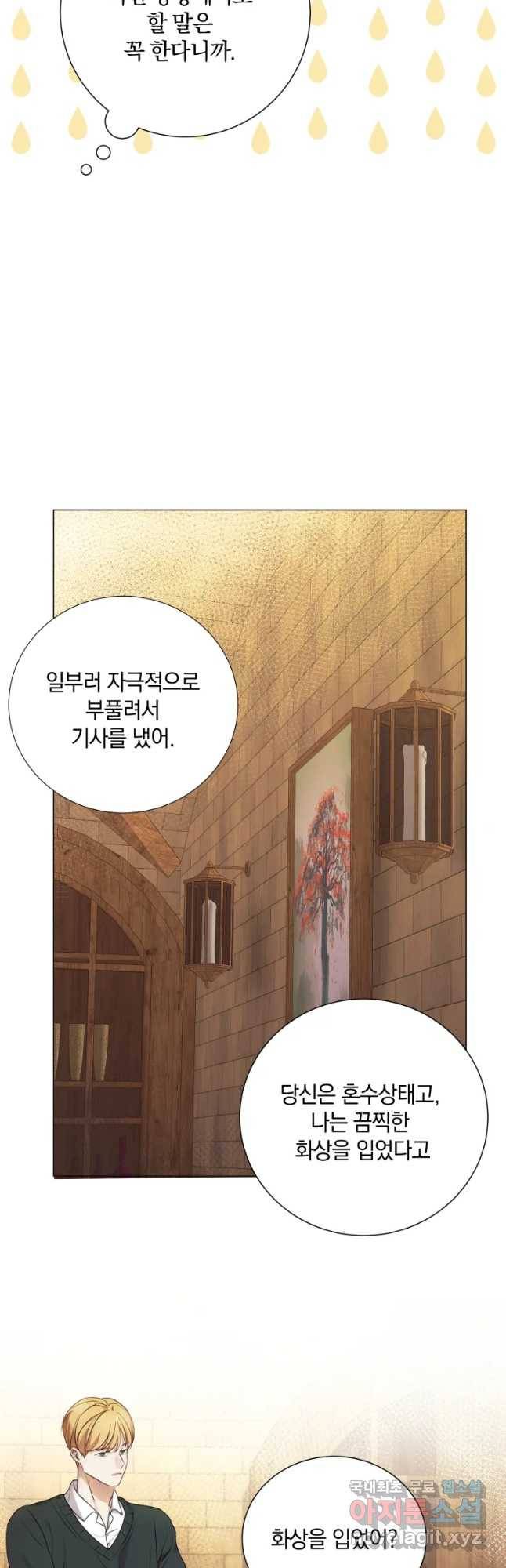 백작가의 불청객들 63화 52