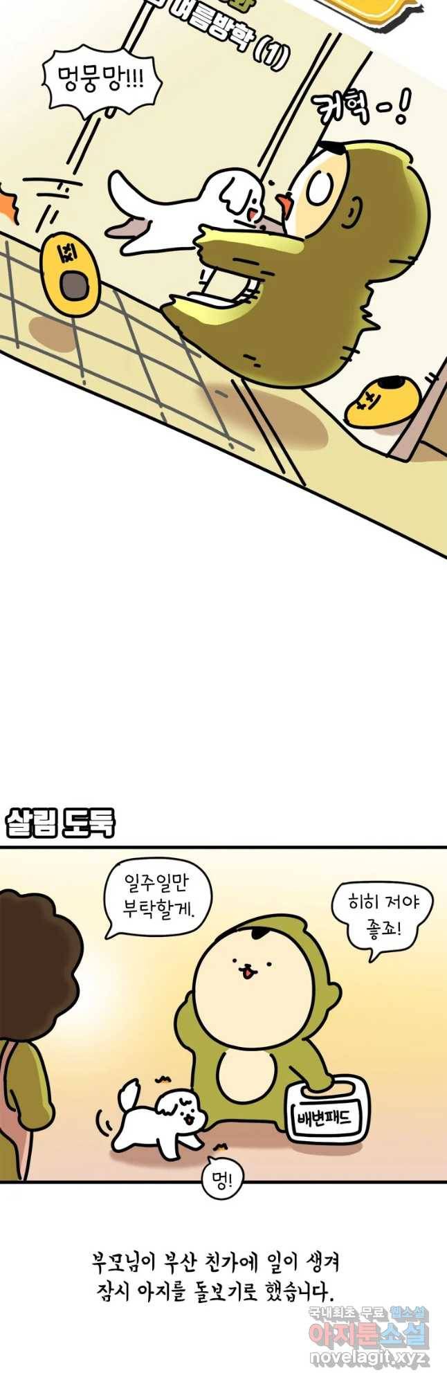 키몽의 호구로운 생활 213화 아지의 여름방학(1) 3