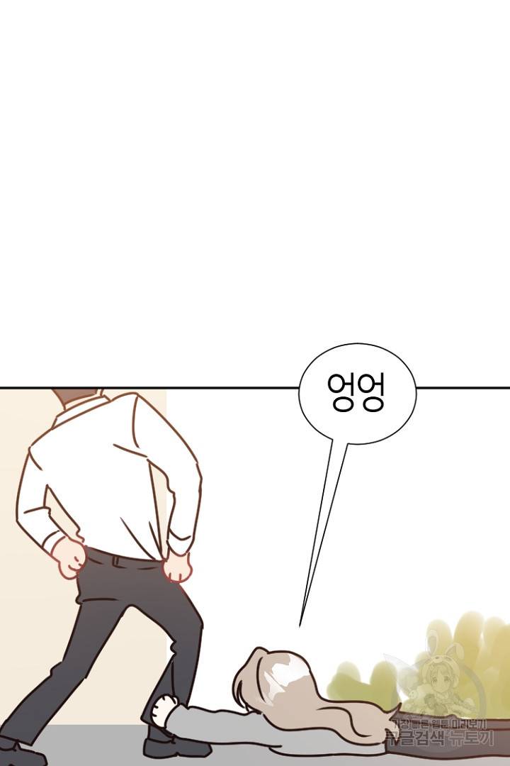 하필, 본부장 13화 26