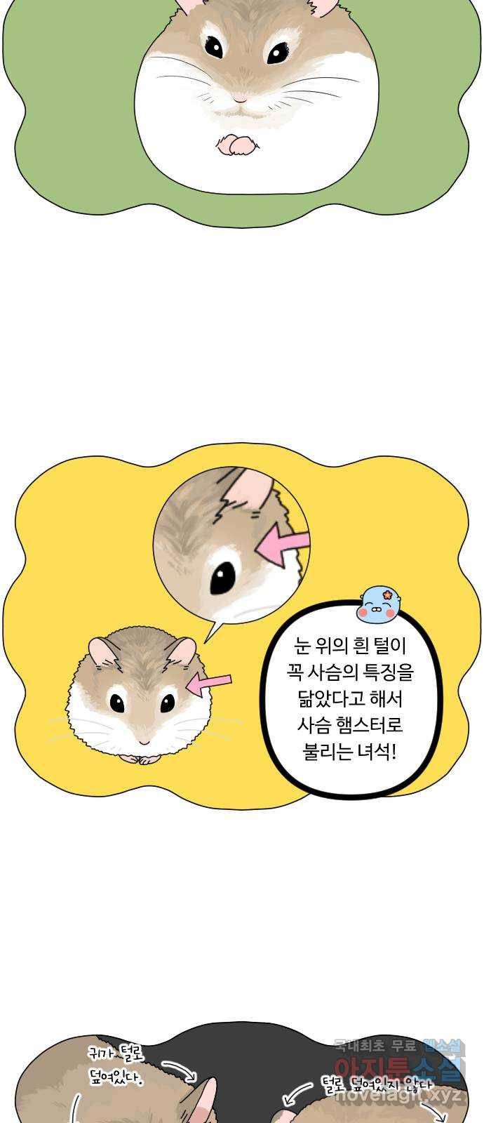결혼생활 그림일기 125화 갑자기 가족 3 3