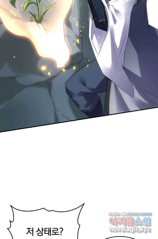 폐인무쌍:용병왕의 귀환 29화 54