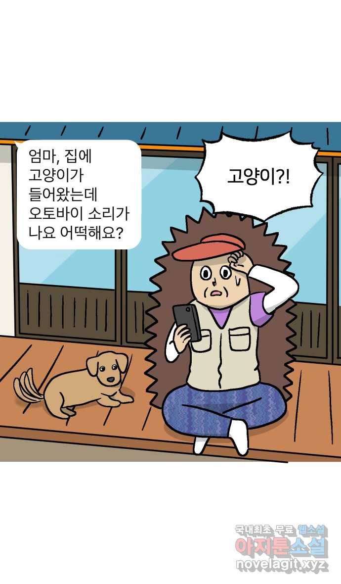 애옹식당 34화 검은 고양이와의 인연(2) 2