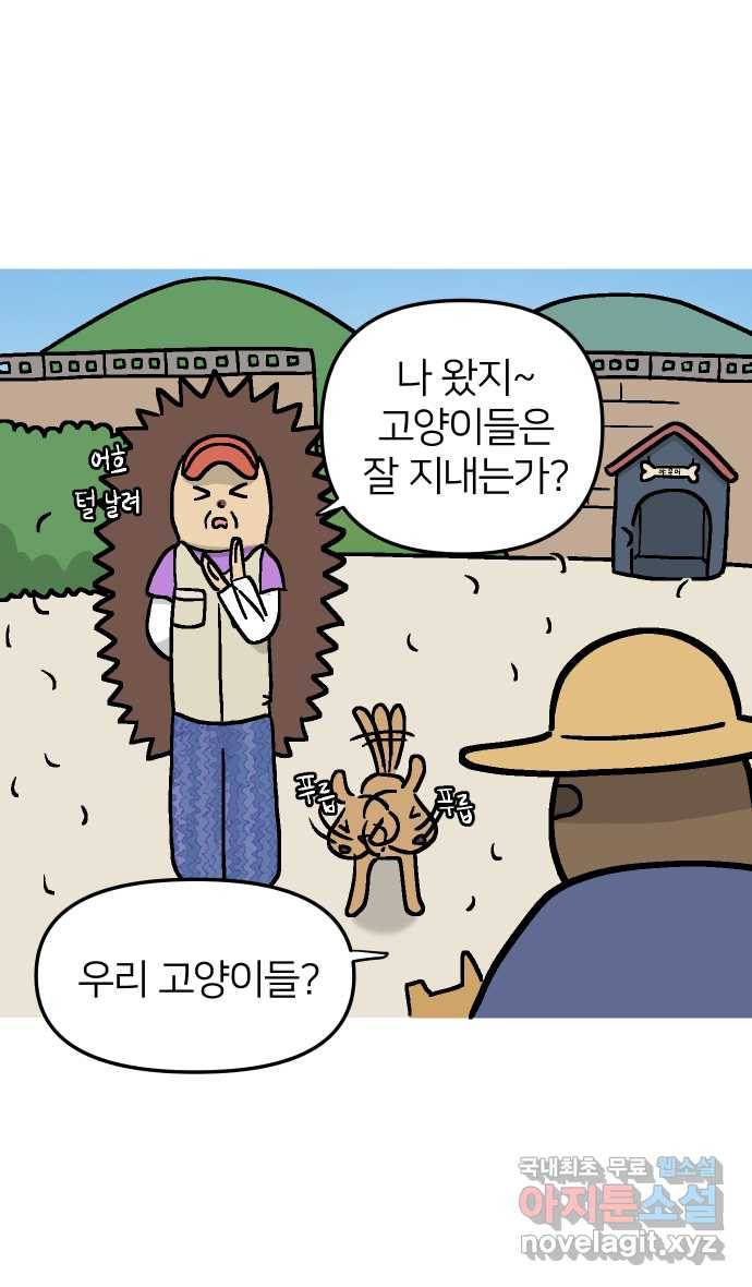 애옹식당 34화 검은 고양이와의 인연(2) 5