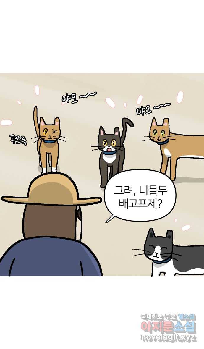 애옹식당 34화 검은 고양이와의 인연(2) 22