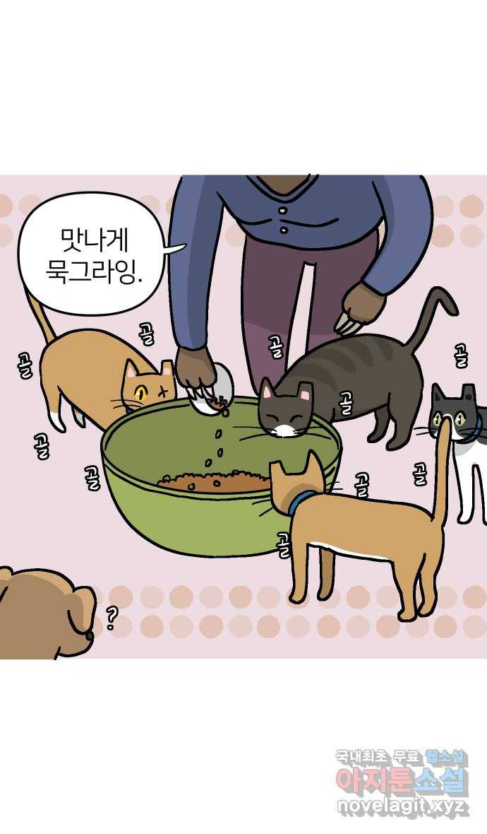 애옹식당 34화 검은 고양이와의 인연(2) 23