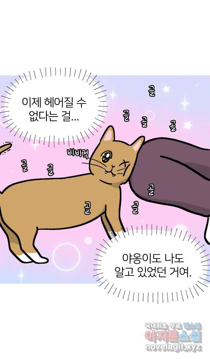 애옹식당 34화 검은 고양이와의 인연(2) 34
