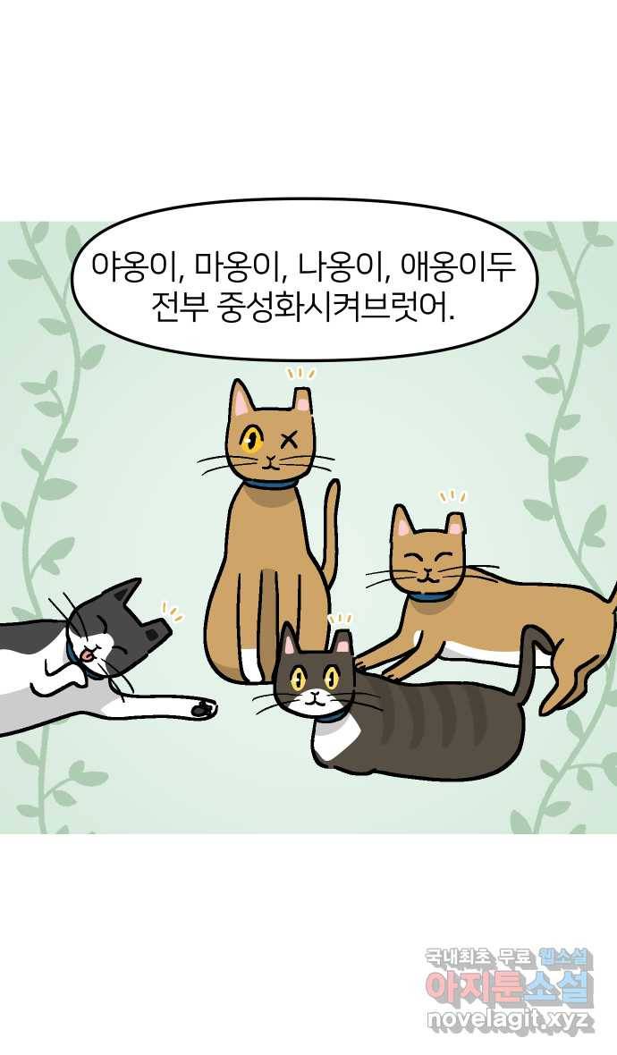 애옹식당 34화 검은 고양이와의 인연(2) 37