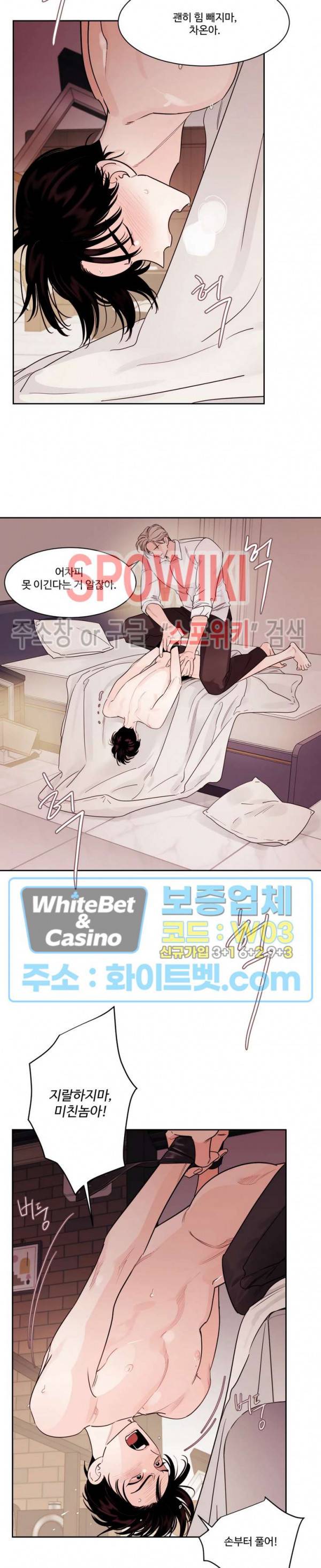 그림자의 영역 12화 4