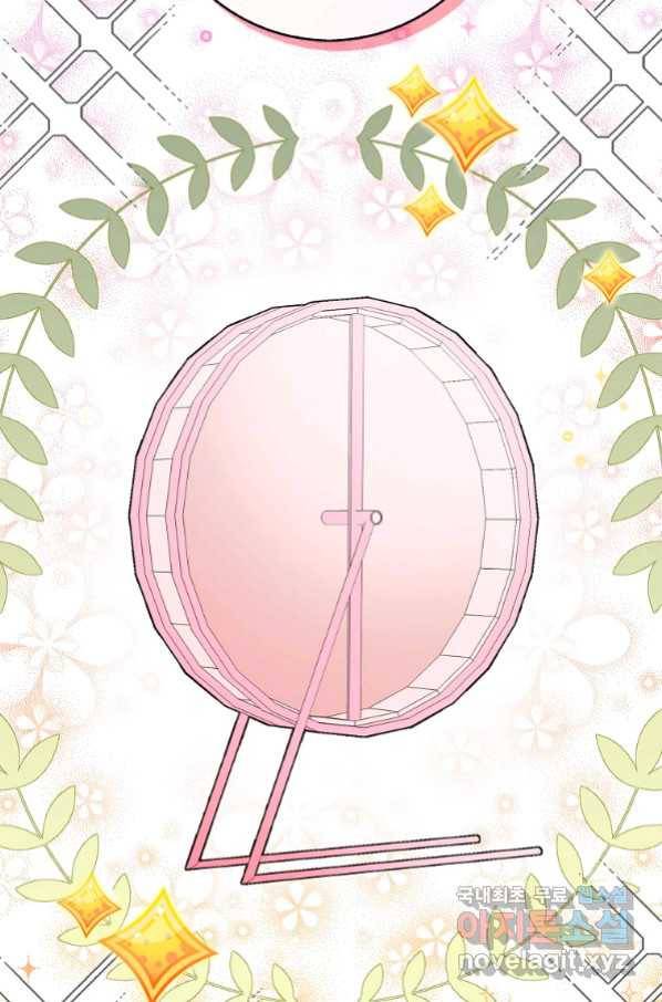 아기 다람쥐가 다 잘해요 11화 15