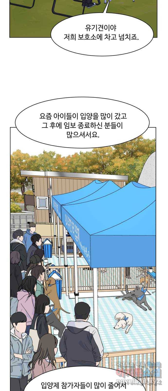 개를 낳았다 시즌2 115화 2
