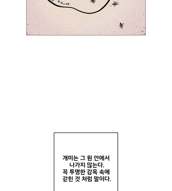 회색 방, 소녀 50화 4