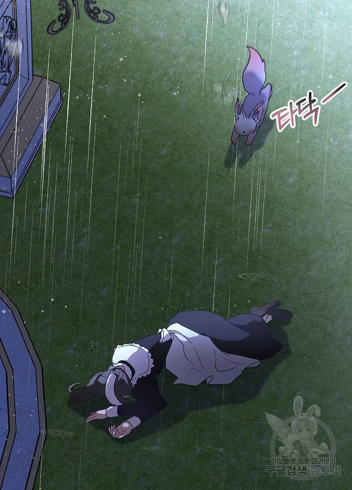 아기 신수로 환생했습니다 10화 18