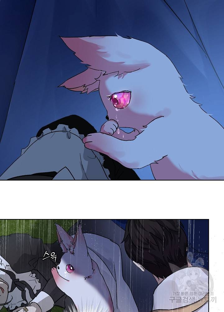 아기 신수로 환생했습니다 10화 28