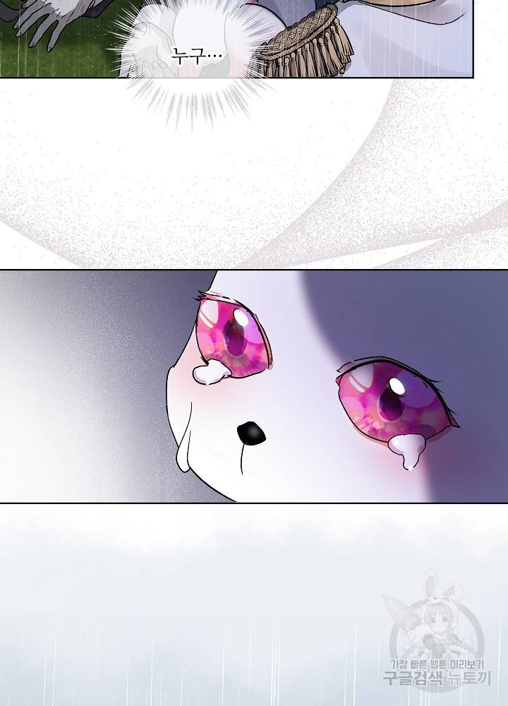 아기 신수로 환생했습니다 10화 29