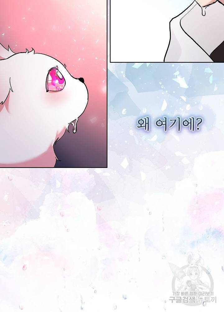 아기 신수로 환생했습니다 10화 32