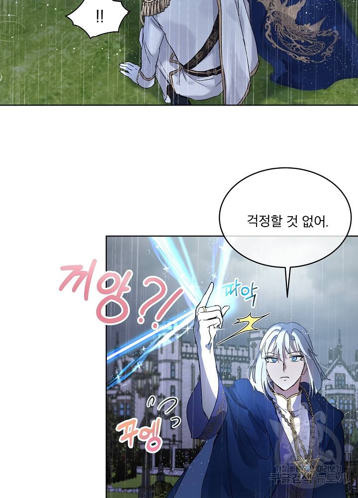 아기 신수로 환생했습니다 10화 36