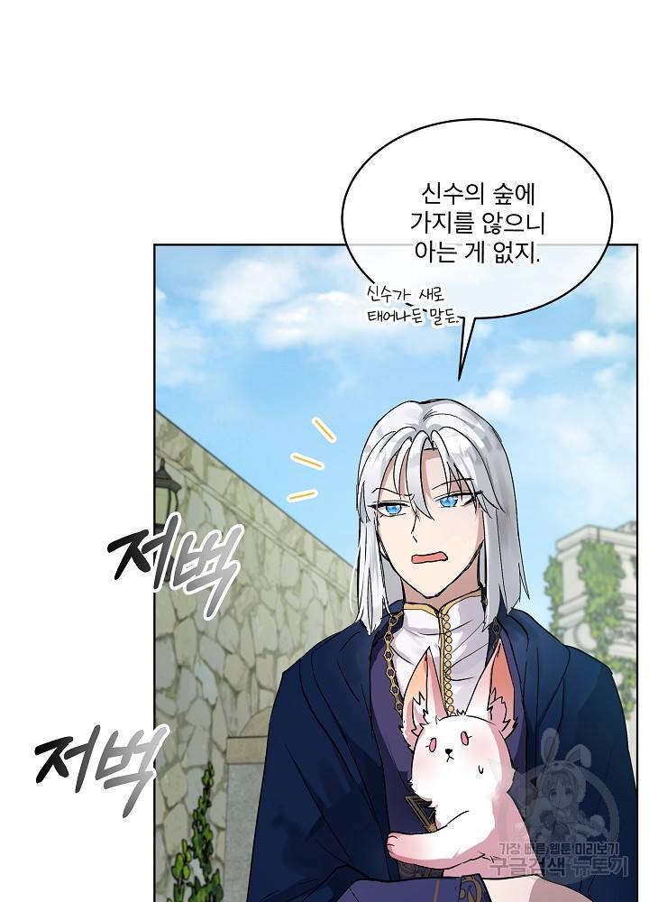 아기 신수로 환생했습니다 10화 59