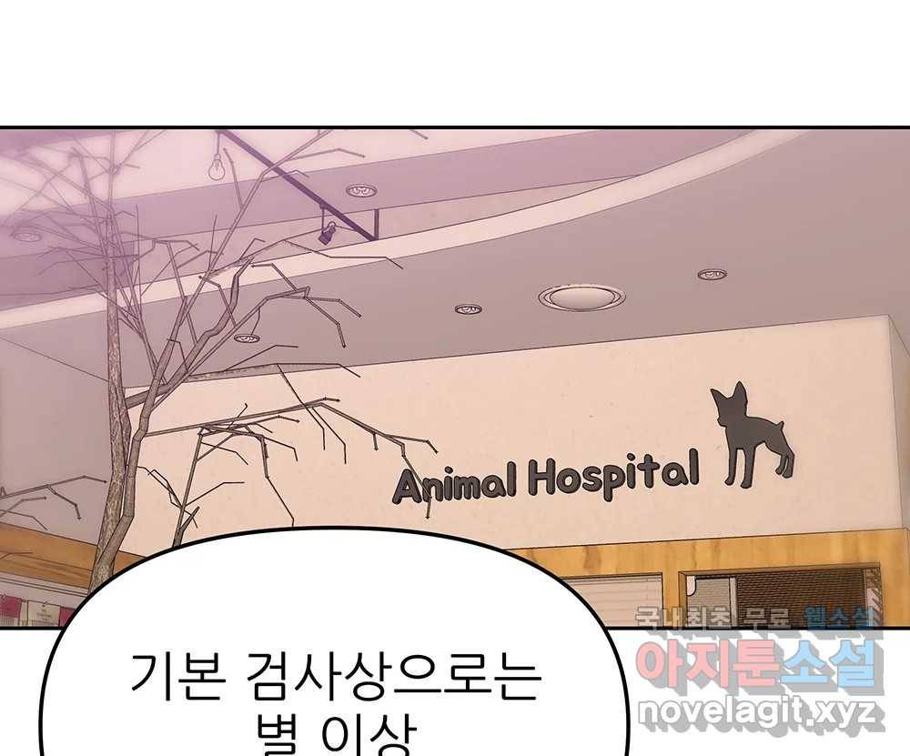 무지개다리 파수꾼 84화 88