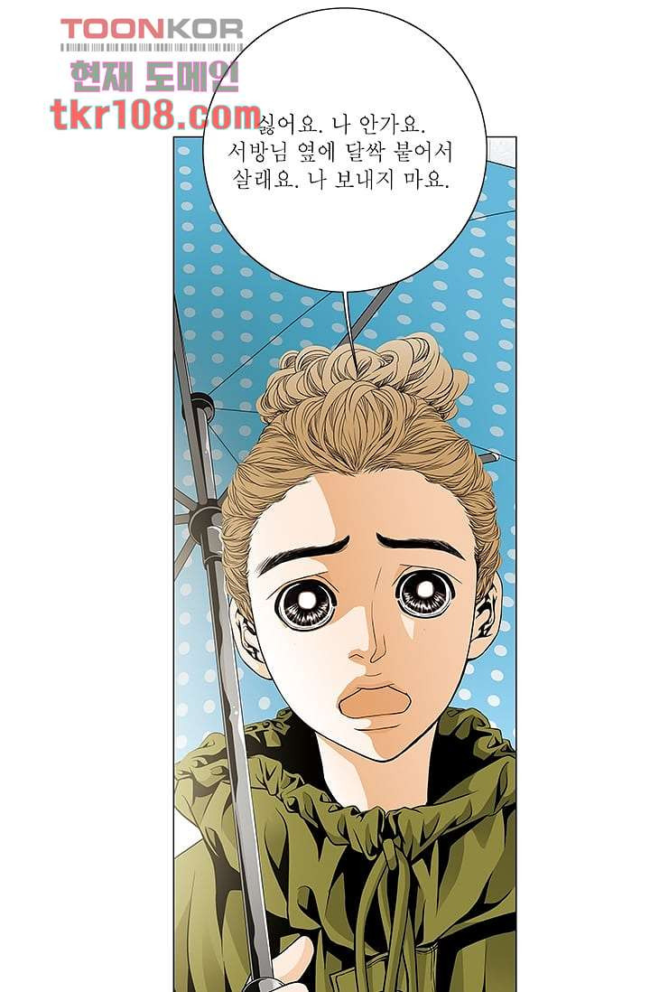 케덴독 29화 7