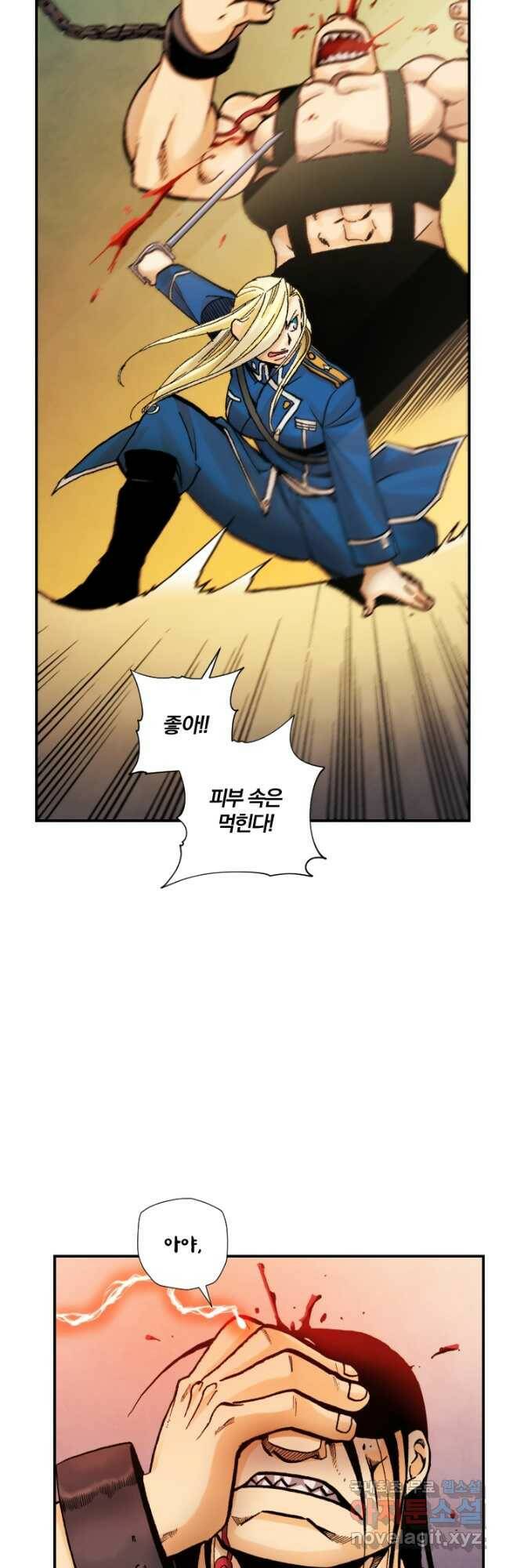강철의 연금술사  249화 13
