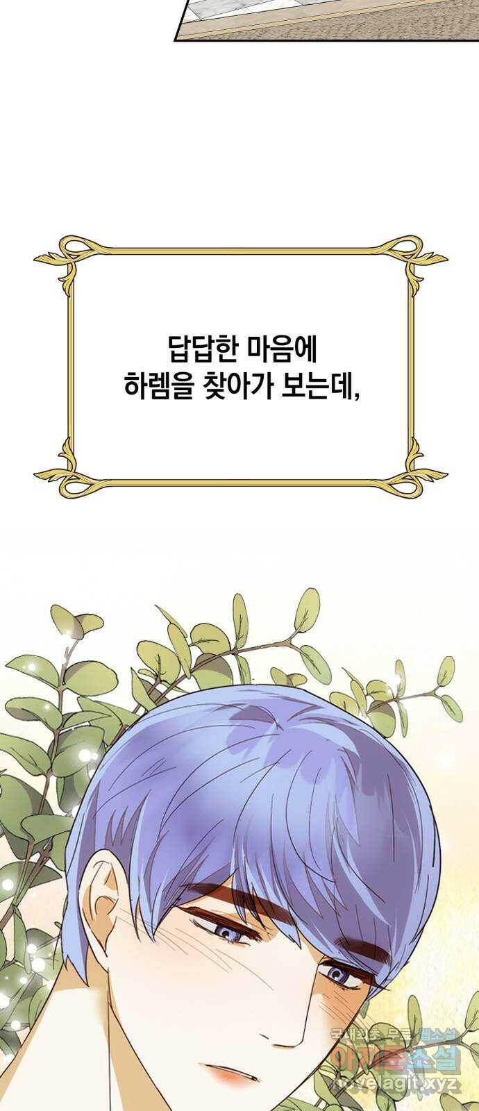 하렘의 남자들 특별편 2. 판타지 서사 모아보기 81