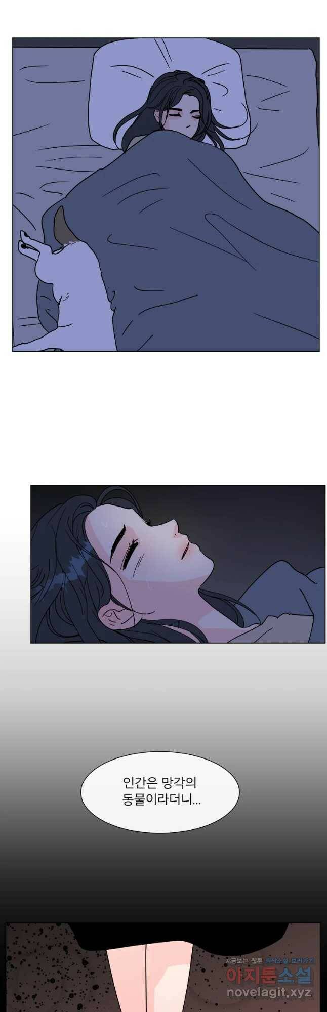 우리집이거든요! 174화 26