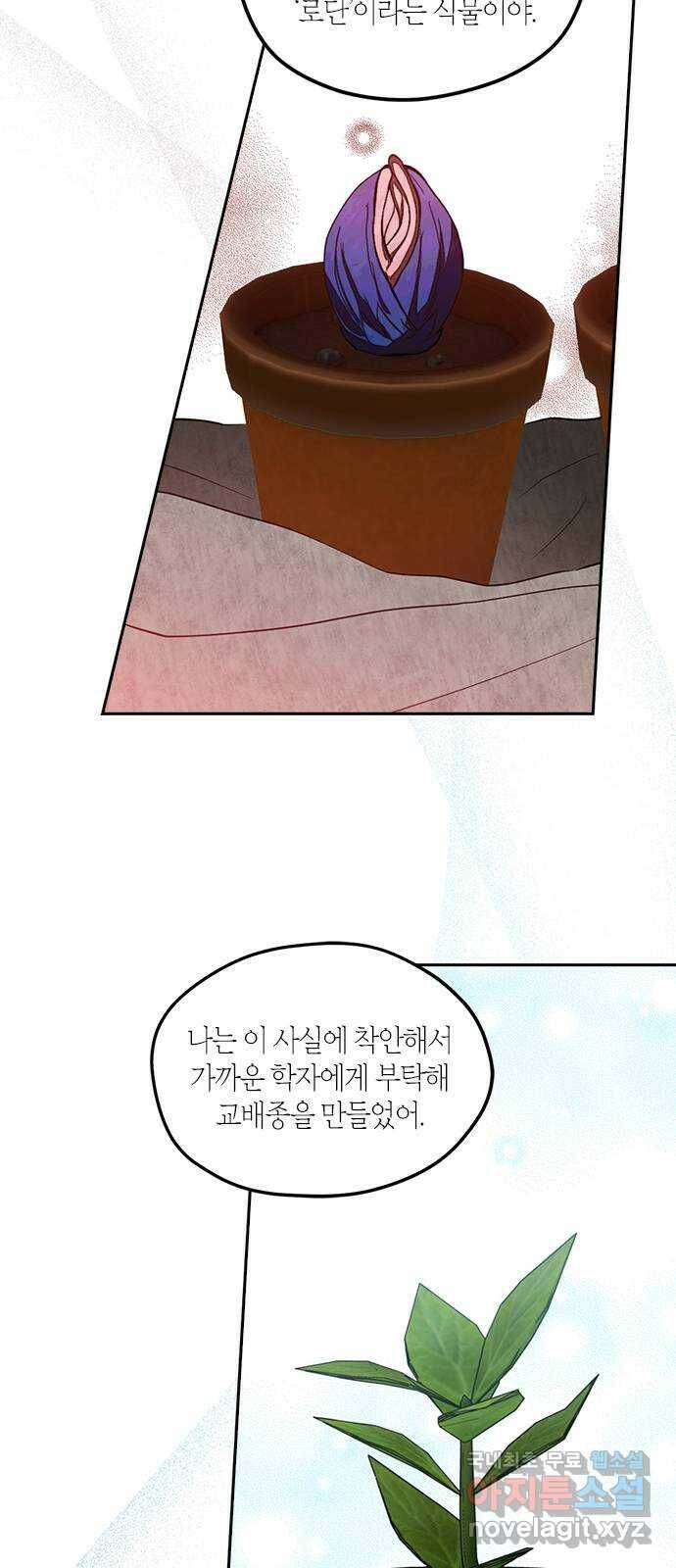 남편을 만렙으로 키우려 합니다 78화 10