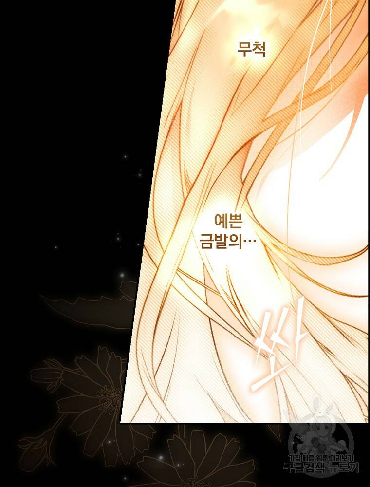 시크릿 레이디 70화 26