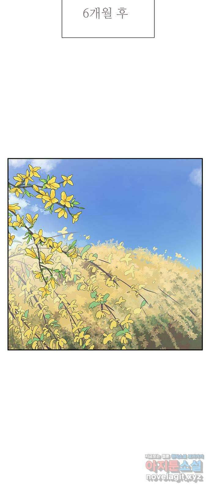 보듬보듬 50화 : 보듬의원으로 오세요 3