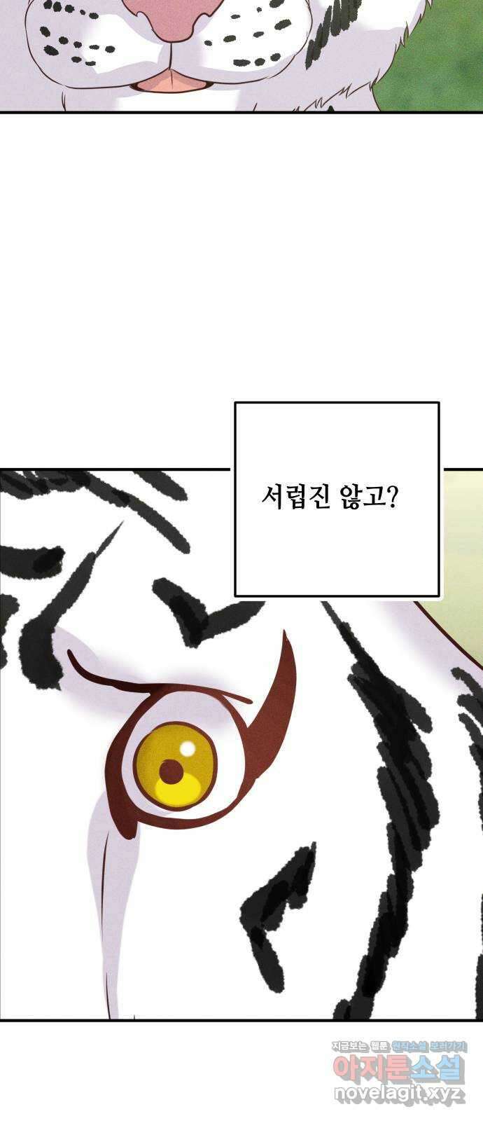 자취방 신선들 62. 호랑이 이야기 (1) 55