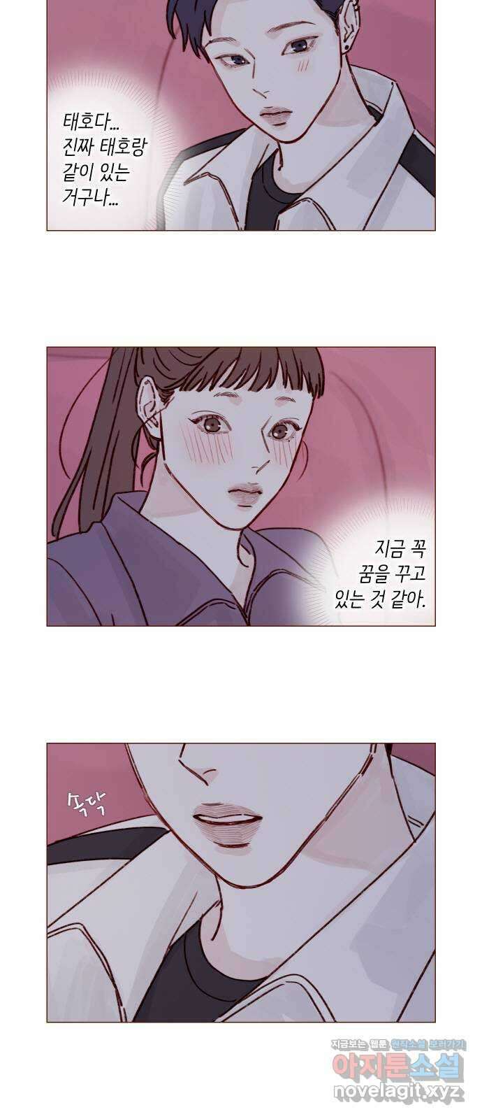 홍시는 날 좋아해! 222화 : 가장 빛나고 가장 좋은 사람 4