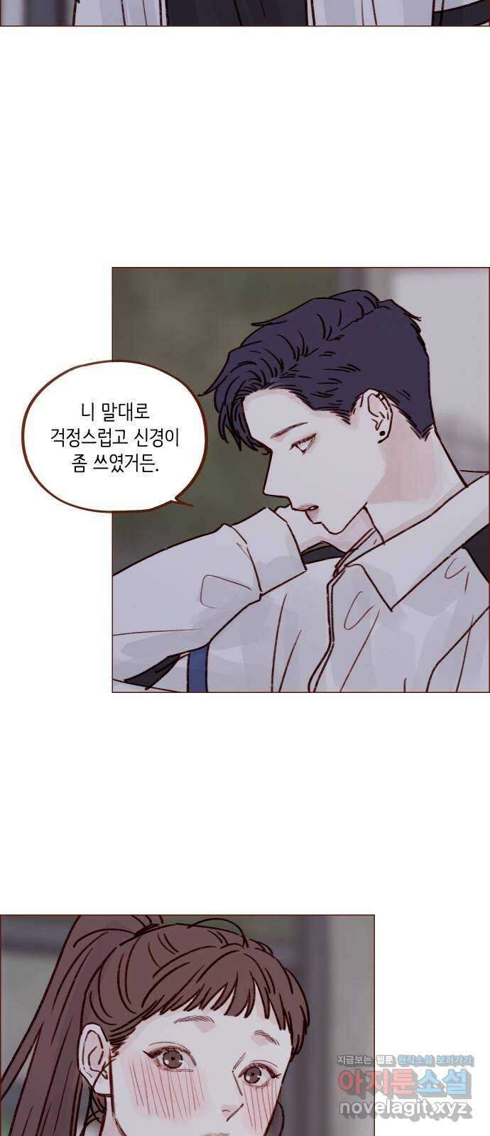 홍시는 날 좋아해! 222화 : 가장 빛나고 가장 좋은 사람 17