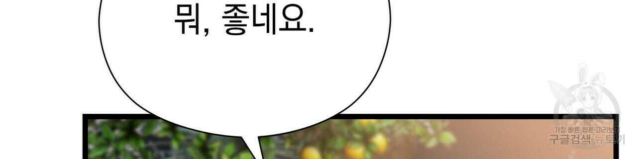 티파니에서 모닝 키스를 66화 244