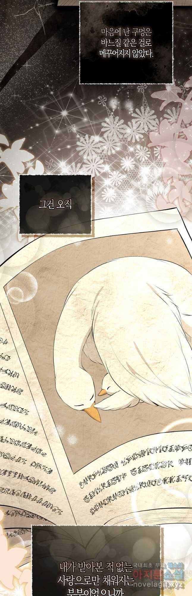 아기 다람쥐가 다 잘해요 36화 17