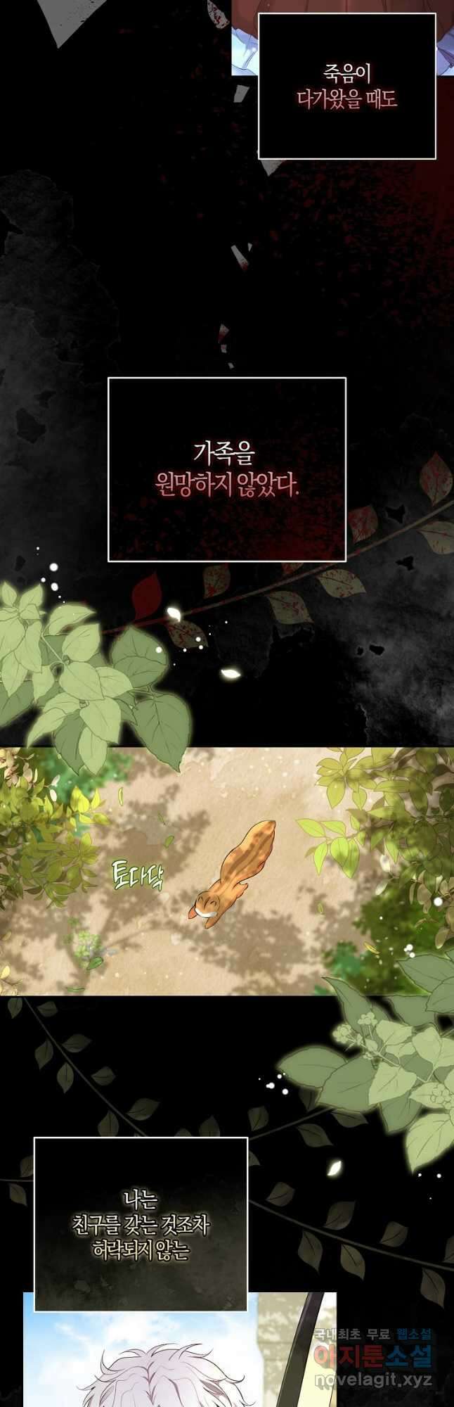 아기 다람쥐가 다 잘해요 36화 26