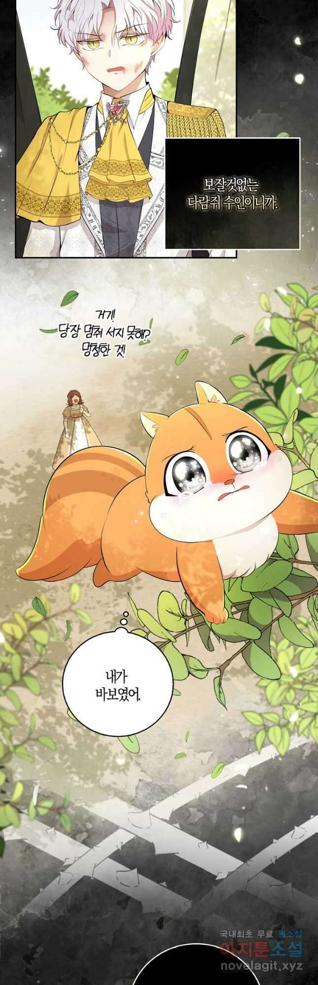 아기 다람쥐가 다 잘해요 36화 27