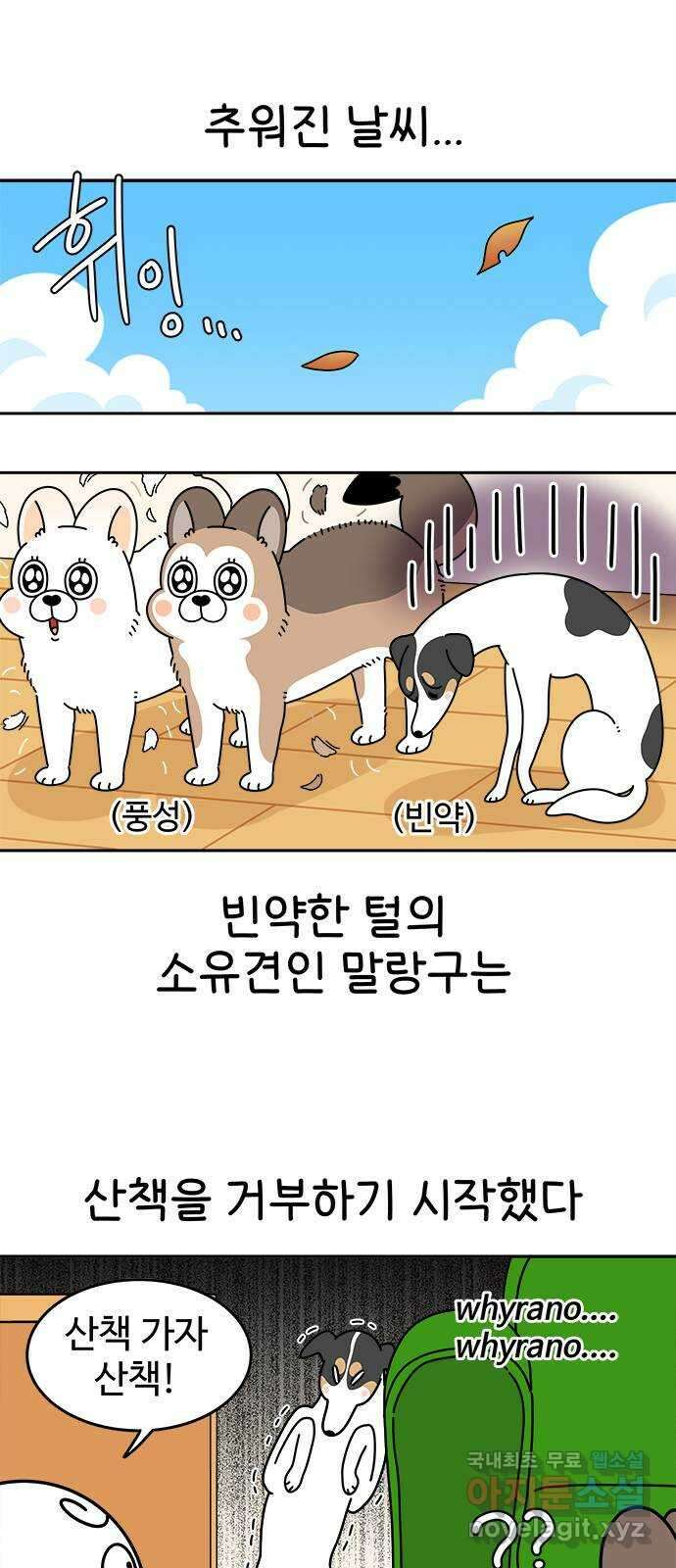 도전! 집콕취미 5화) 말랑구는 너무 추워 1