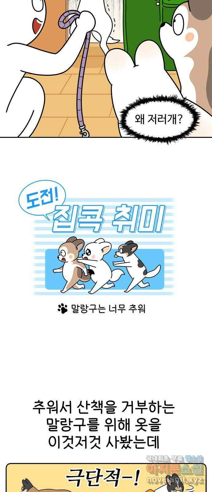 도전! 집콕취미 5화) 말랑구는 너무 추워 2