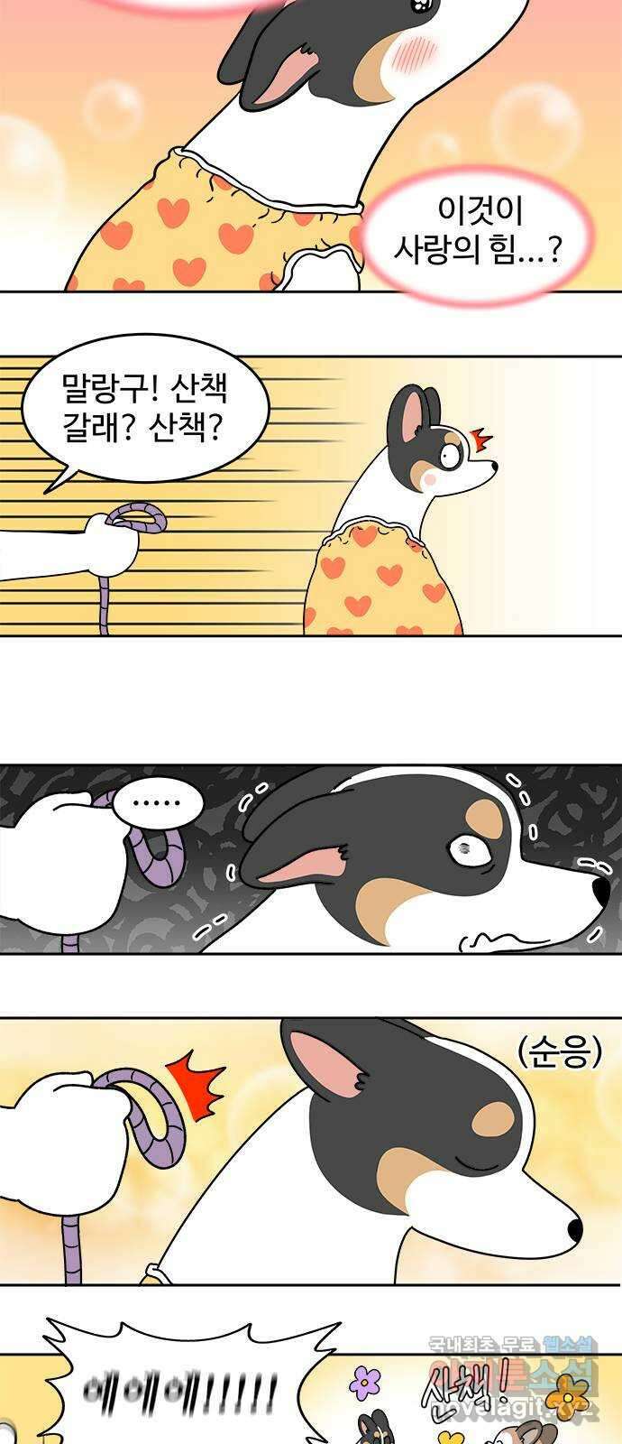 도전! 집콕취미 5화) 말랑구는 너무 추워 11