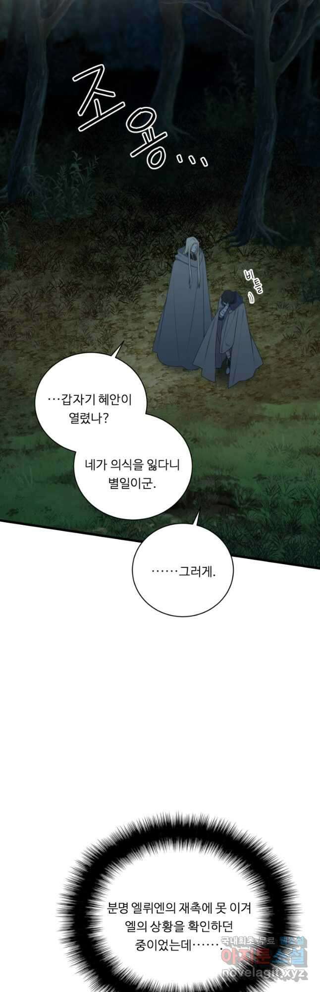 정령왕 엘퀴네스 245화 19