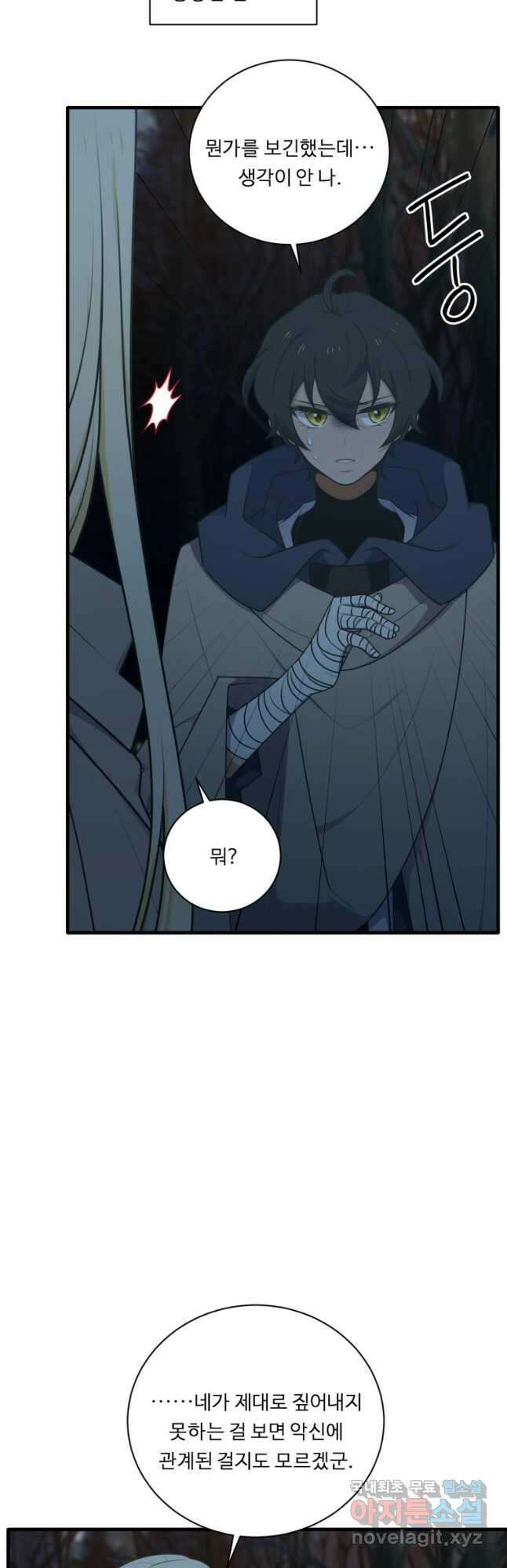정령왕 엘퀴네스 245화 21