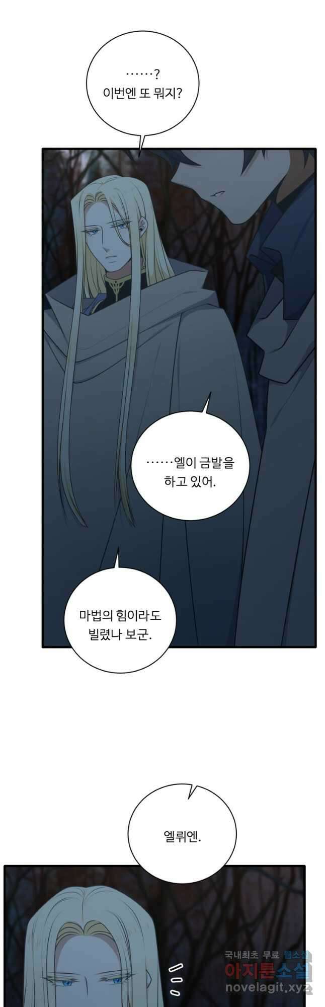 정령왕 엘퀴네스 245화 25